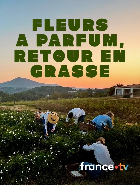 france.tv - Fleurs à parfum, retour en Grasse en replay