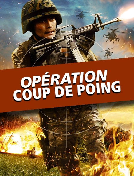 Opération coup de poing