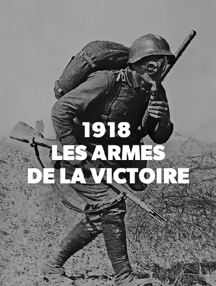 1918, les armes de la victoire