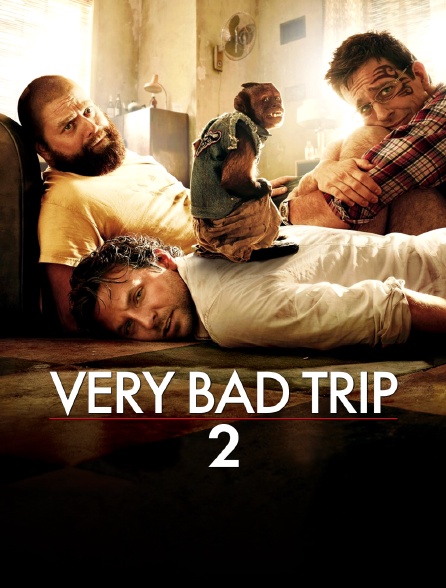 Very Bad Trip 2