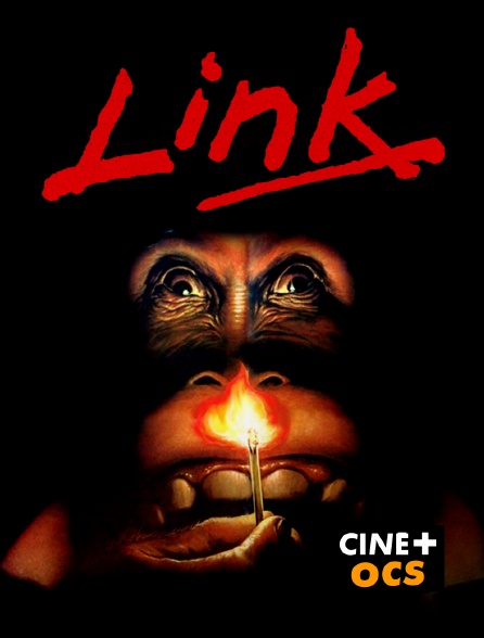 CINÉ Cinéma - Link