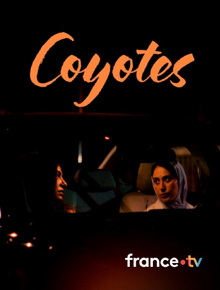france.tv - Coyotes en replay
