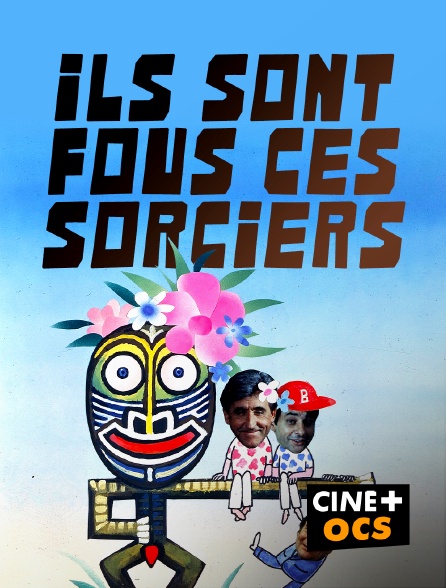 CINÉ Cinéma - Ils sont fous ces sorciers