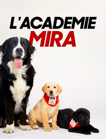 L'académie Mira