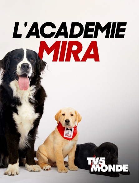 TV5MONDE - Les diplômés Mira