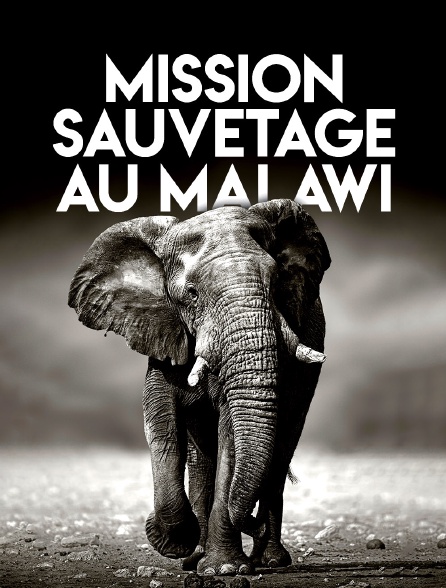 Mission sauvetage au Malawi