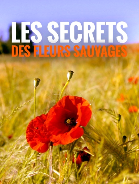 Des secrets