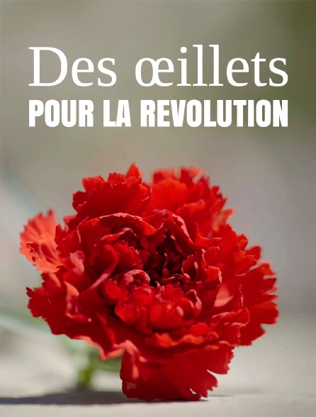 Des oeillets pour la révolution