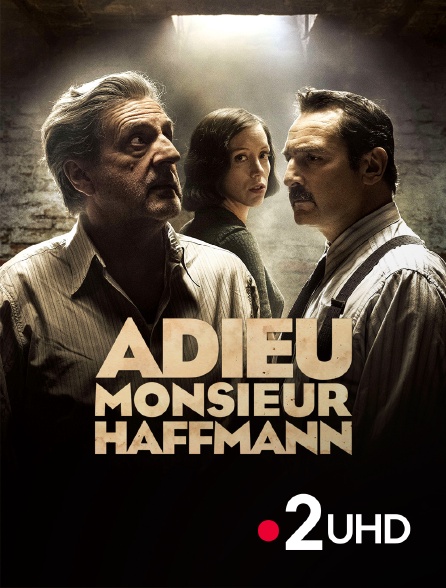 France 2 UHD - Adieu Monsieur Haffmann
