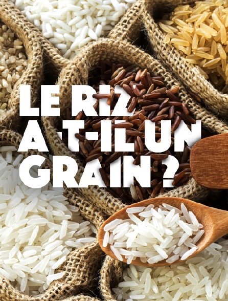 Le riz a-t-il un grain ?