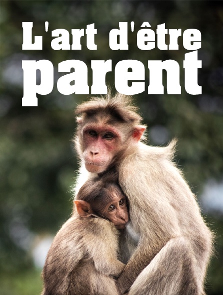 Animaux, l'art d'être parent