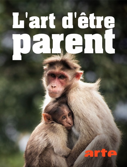 Arte - Animaux, l'art d'être parent