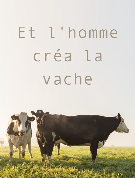 Et l'homme créa la vache