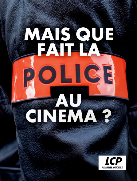 LCP 100% - Mais que fait la police au cinéma ?