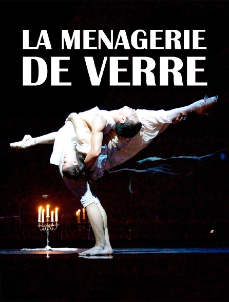 La Ménagerie de verre