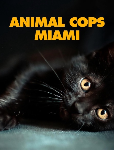 Animal Cops Miami
