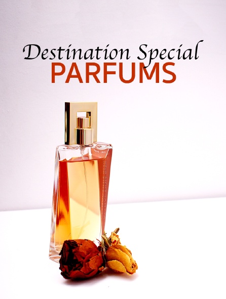 Destination Special : Parfums