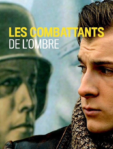 Les combattants de l'ombre