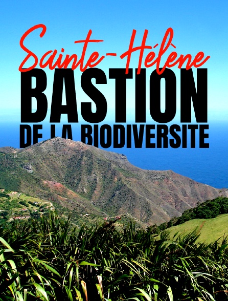 Sainte-Hélène, bastion de la biodiversité