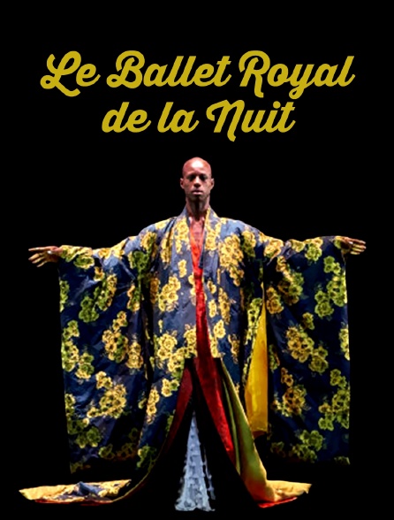 Le Ballet royal de la nuit