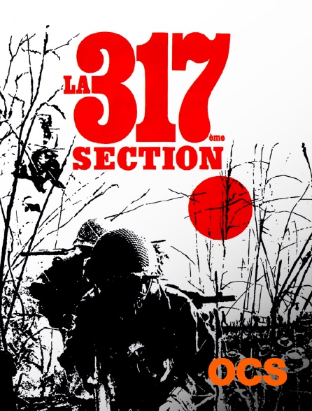 OCS - LA 317ÈME SECTION