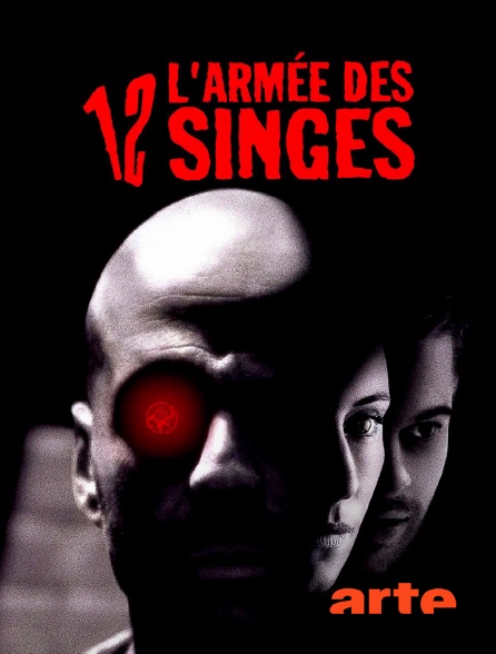 Arte - L'armée des 12 singes