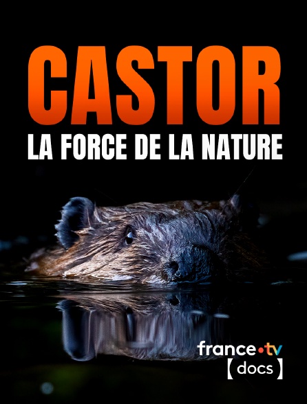 France TV Docs - Castor, la force de la nature en replay