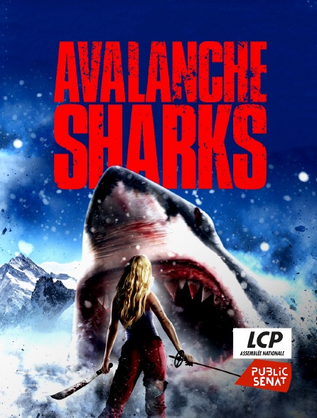 LCP Public Sénat - Avalanche Sharks
