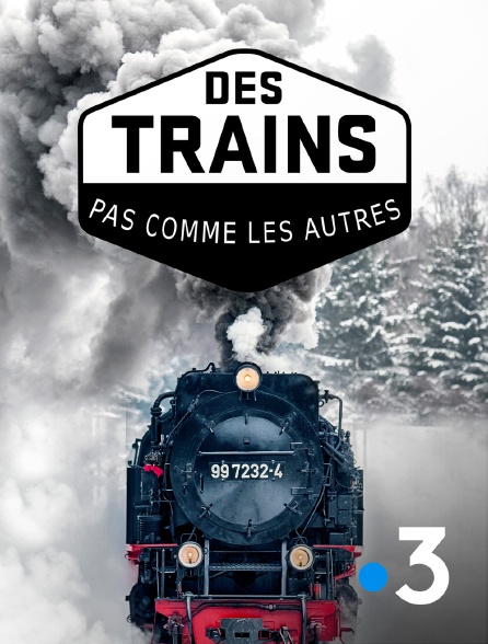 France 3 - Des trains pas comme les autres