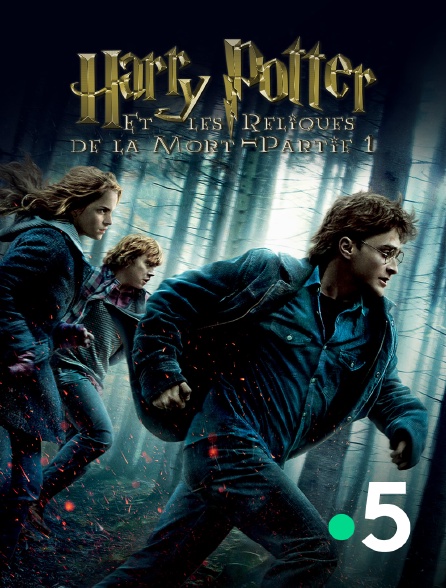 France 5 - Harry Potter et les reliques de la mort : partie 1