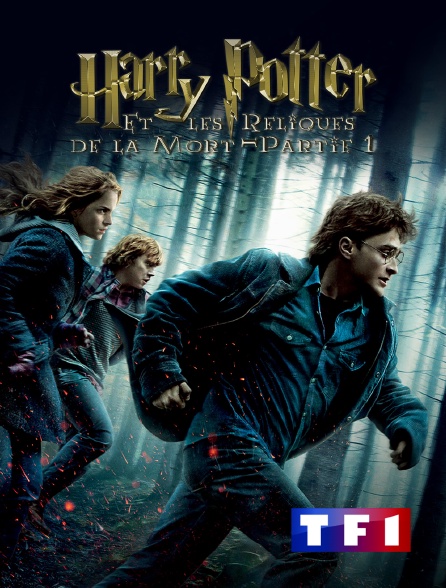 TF1 - Harry Potter et les reliques de la mort : partie 1