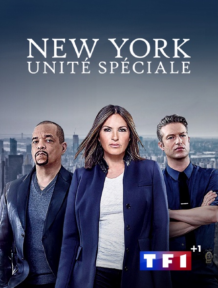 TF1+1 - New York Unité Spéciale