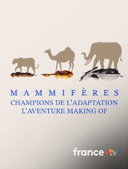 france.tv - Mammifères, champions de l'adaptation - l'aventure - Making of