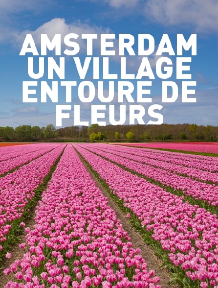 Amsterdam, un village entouré de fleurs