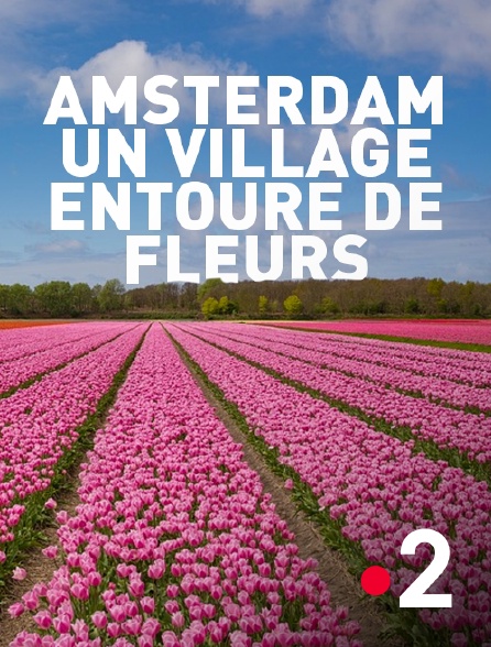 France 2 - Amsterdam, un village entouré de fleurs