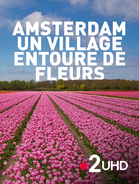 France 2 UHD - Amsterdam, un village entouré de fleurs