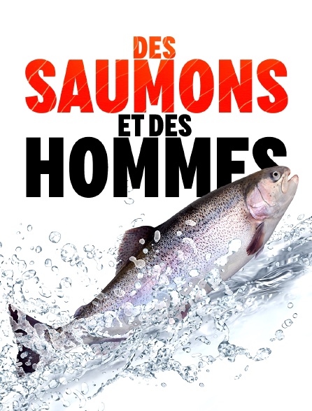 Des saumons et des hommes