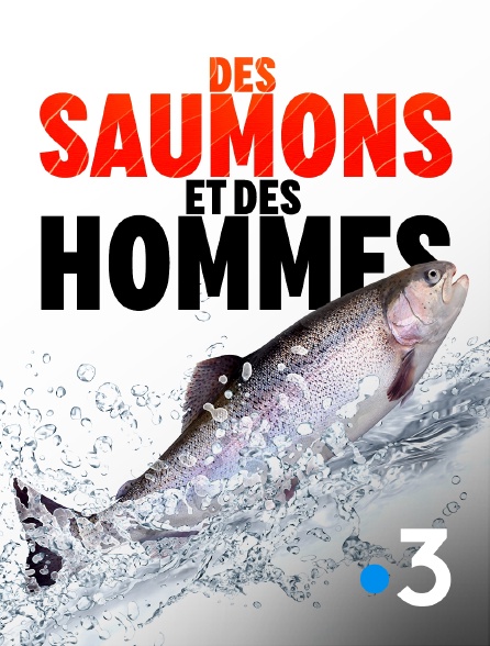 France 3 - Des saumons et des hommes