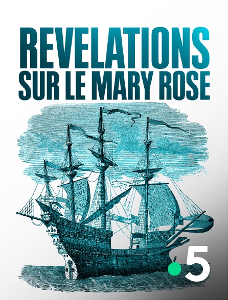 France 5 - Révélations sur le Mary Rose