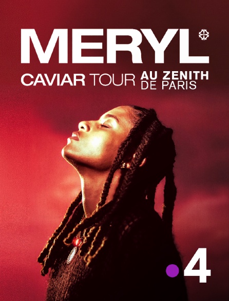 France 4 - Meryl au Zénith de Paris