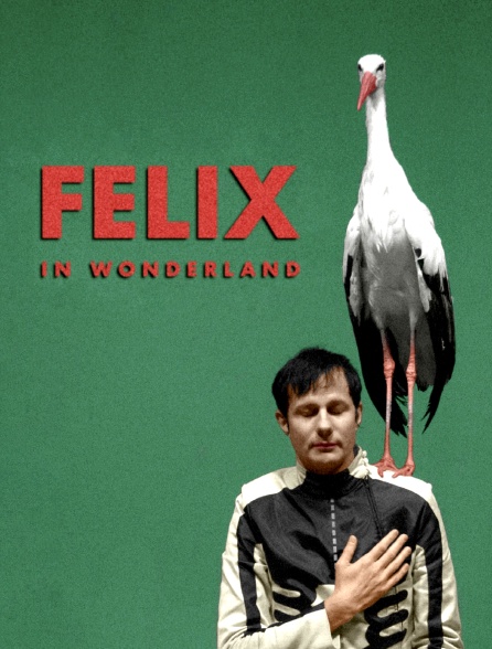 Felix in Wonderland