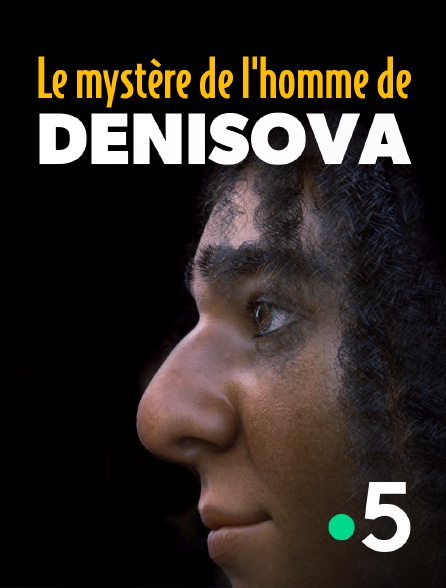 France 5 - Le mystère de Denisova