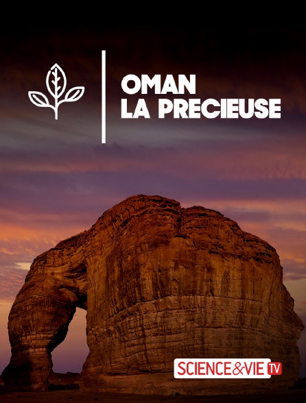 Science et Vie TV - Oman la précieuse