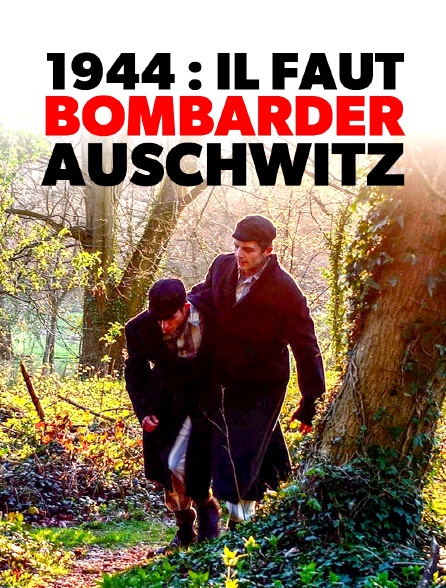 1944 : il faut bombarder Auschwitz