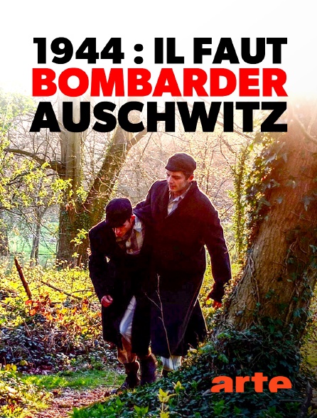 Arte - 1944 : il faut bombarder Auschwitz