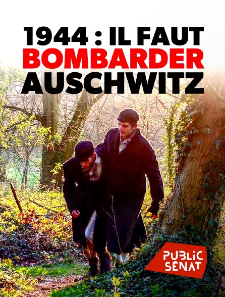 Public Sénat - 1944 : il faut bombarder Auschwitz