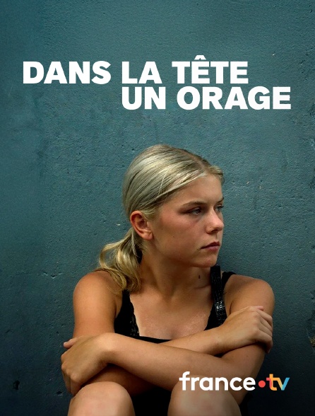 france.tv - Dans la tête un orage