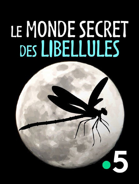 France 5 - Le monde secret des libellules