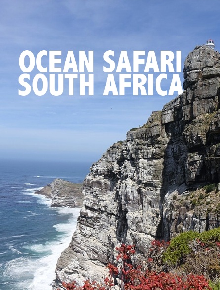 Ocean Safari: South Africa