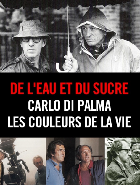 De l'eau et du sucre : Carlo Di Palma, les couleurs de la vie